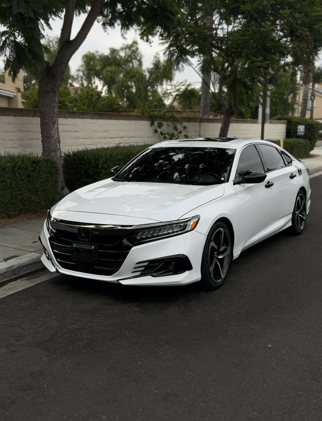 Ceramic Coatings project 1